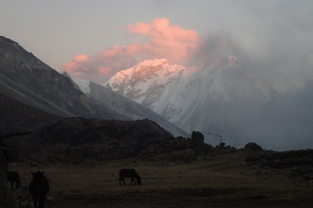 Канченджанга, трек к Северному и Южному базовым лагерям. Ноябрь 2018.