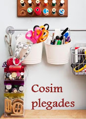 Nou projecte conjunt. Cosim Plegades