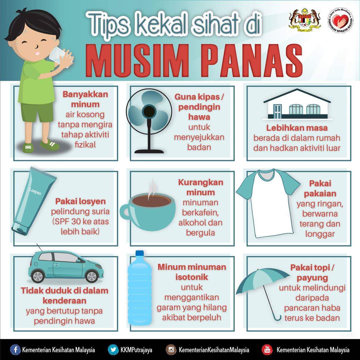 Tips Perawatan Tanaman di Musim Panas: Cara Menghadapi Suhu Tinggi