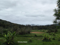 With a view on Kaneohe Bay - Senator Fong's Plantation and Gardens, Oahu, HI