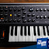 Make Way for the Moog Subsequent 25 Compact Analog Synthesizer