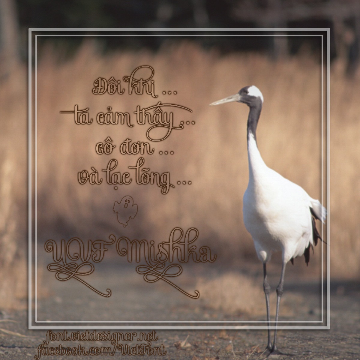 UVF Mishka UVF Mishka