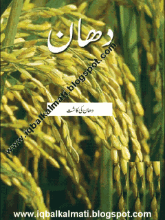 Cultivation of Rice Corp in Urdu Booklet PDF
