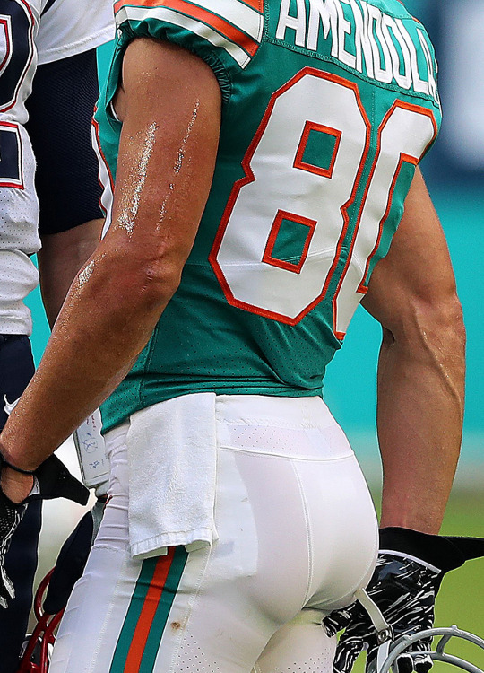 White Meat Monday: Danny Amendola.