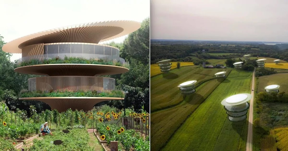 This Amazing Sunflower Home Was Designed To Follow The Rays Of The Sun This Amazing Sunflower Home Was Designed To Follow The Rays Of The Sun