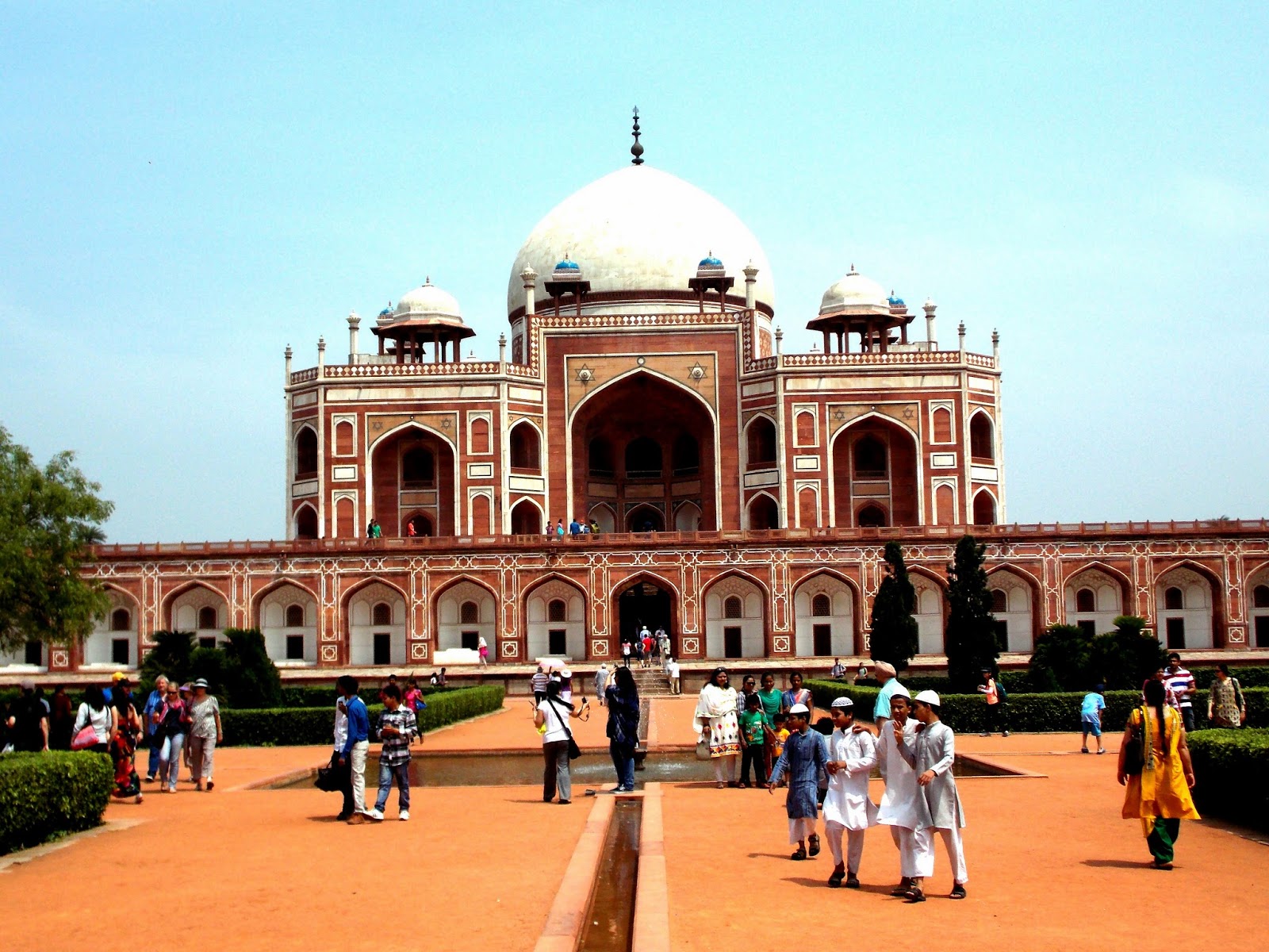 CHINAR SHADE : HUMAYUN'S TOMB NEW DELHI