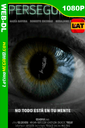Perseguida (2019) Latino HD WEB-DL 1080P ()