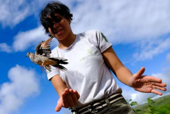 FPI do São Francisco realiza última soltura de animais silvestres em Alagoas