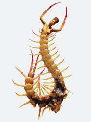 EBL: Centipede Women