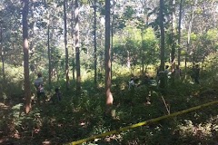 Pembunuhan di Hutan Randublatung Tewas Saat Hendak Diringkus Polisi