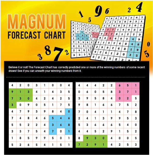 Magnum Large Size Chart