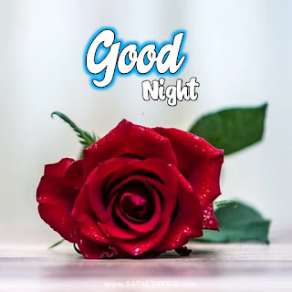 Very Latest 150+ Good night images,Photos& Pictures 2021|romantic, rose flower good night images