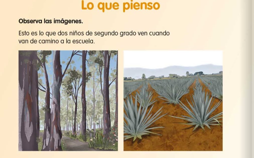 El aula de la maestra ·°¯`·•🌹