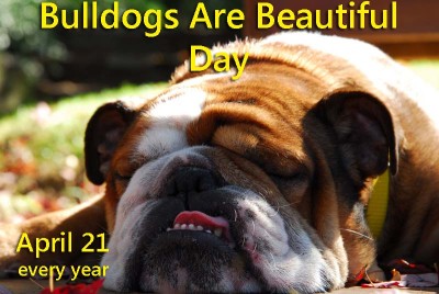 bulldogs are beautiful day