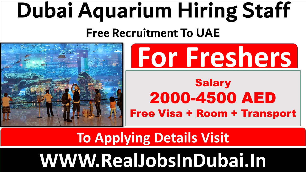 Dubai Aquarium Jobs Vacancies In UAE 2021