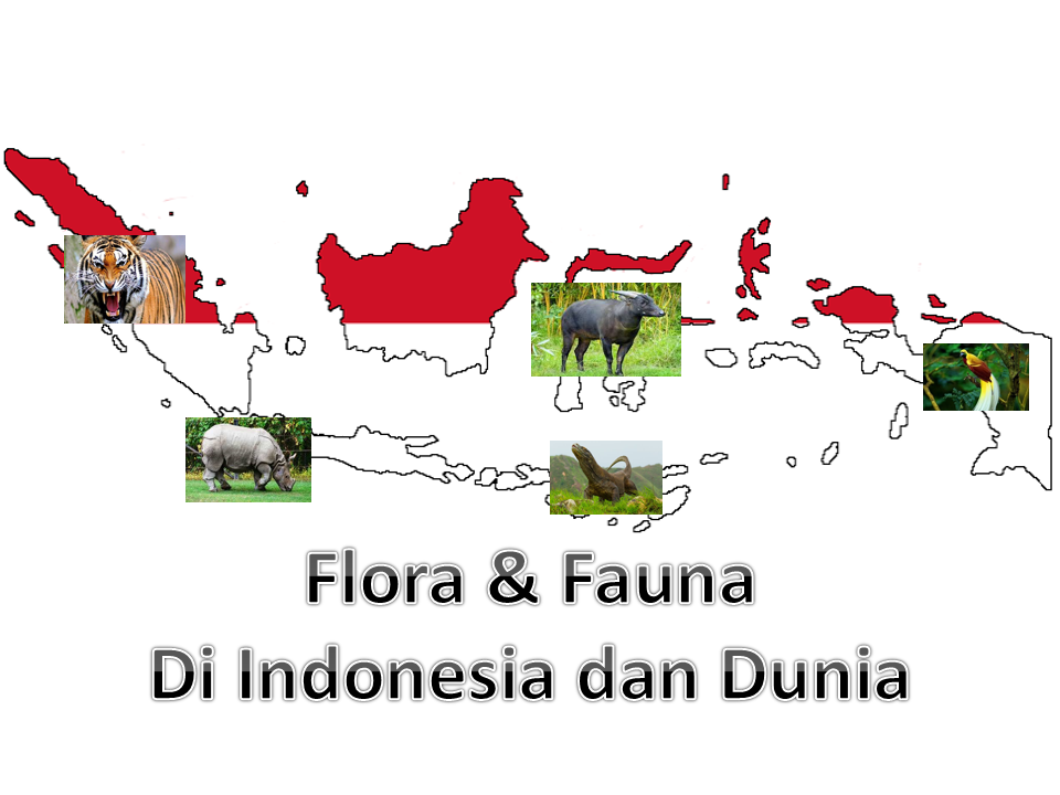 Tempat pelestarian dengan memindahkan flora atau fauna ke luar habitat aslinya adalah …