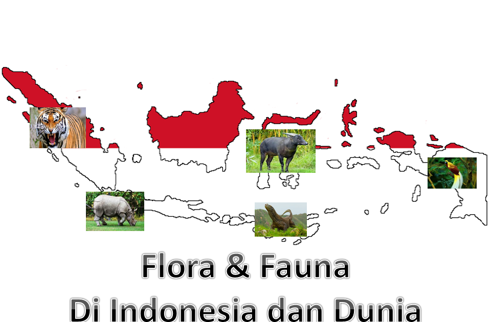 Makalah Konservasi Flora Dan Fauna Di Indonesia Dan Dunia