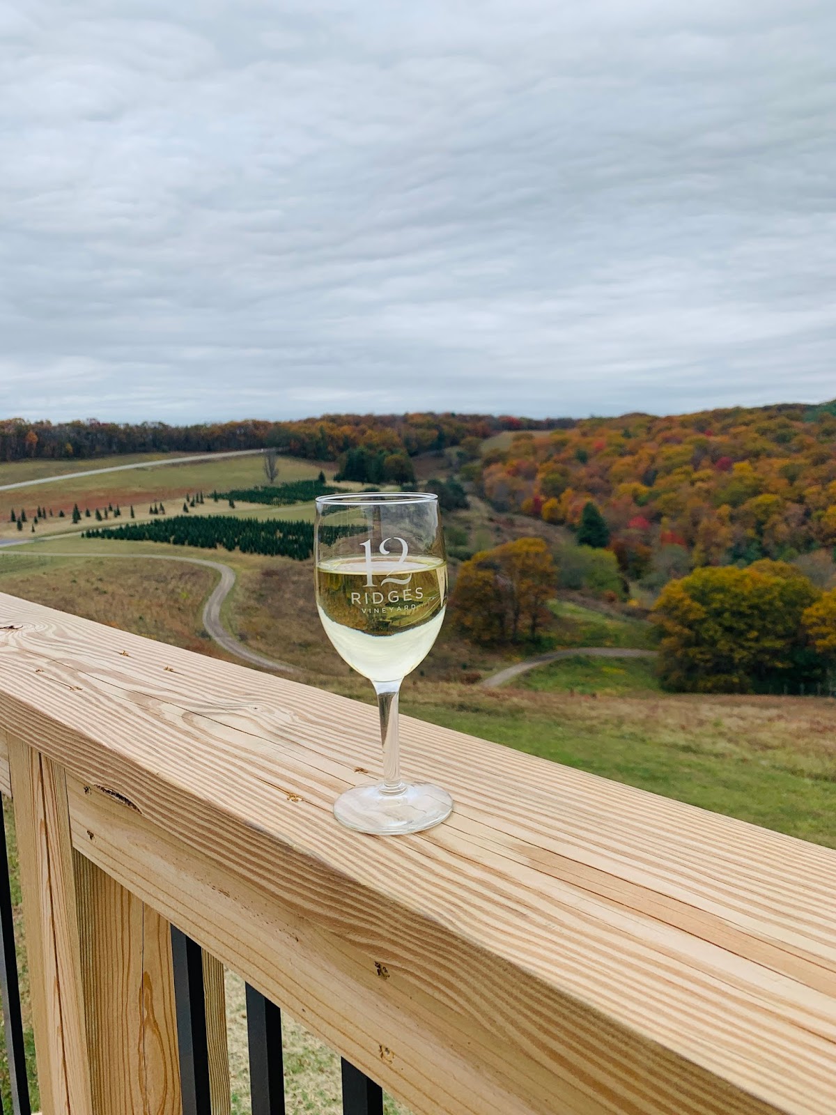 Virginia Winery Review 12 Ridges Vineyard. Southern Belle in Training