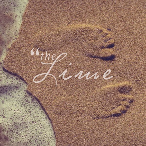 The Lime – I wonder if it’s really over after I erase it – Single