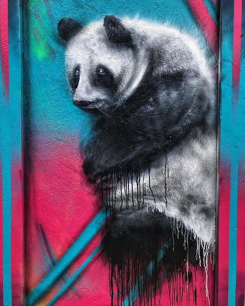 Graffiti Collection Ideas Squirrels Takes Water Graffiti 3d