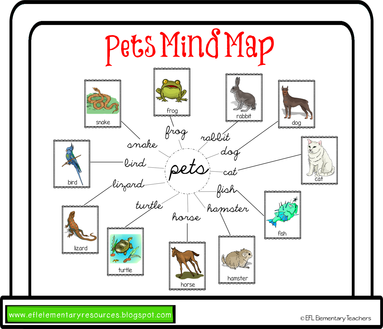 Pets vocabulary. Pets Ментальная карта. Интеллект карта домашние животные. Mind Map про животных на английском. Ментальная карта домашние животные на английском.