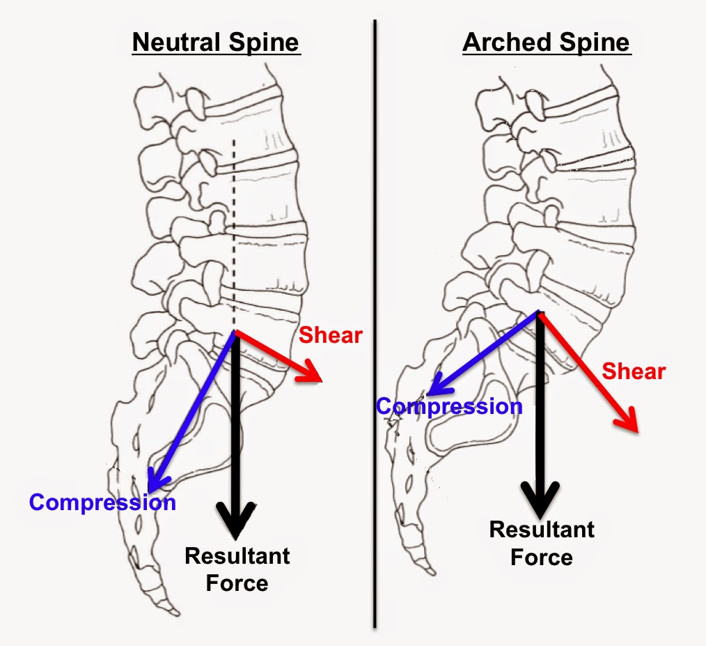Fitness Pollenator: Brief Lessons in Biomechanics: Taking Care of the Spine