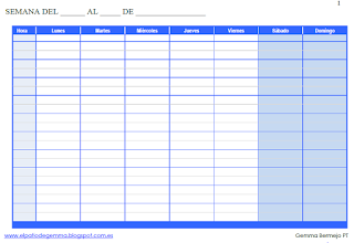  ORGANIZADOR SEMANAL