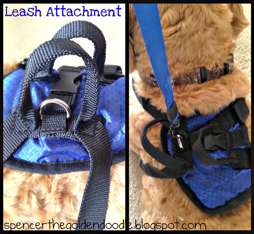 Spencer the Goldendoodle Solvit Products Deluxe Car Safety Harness