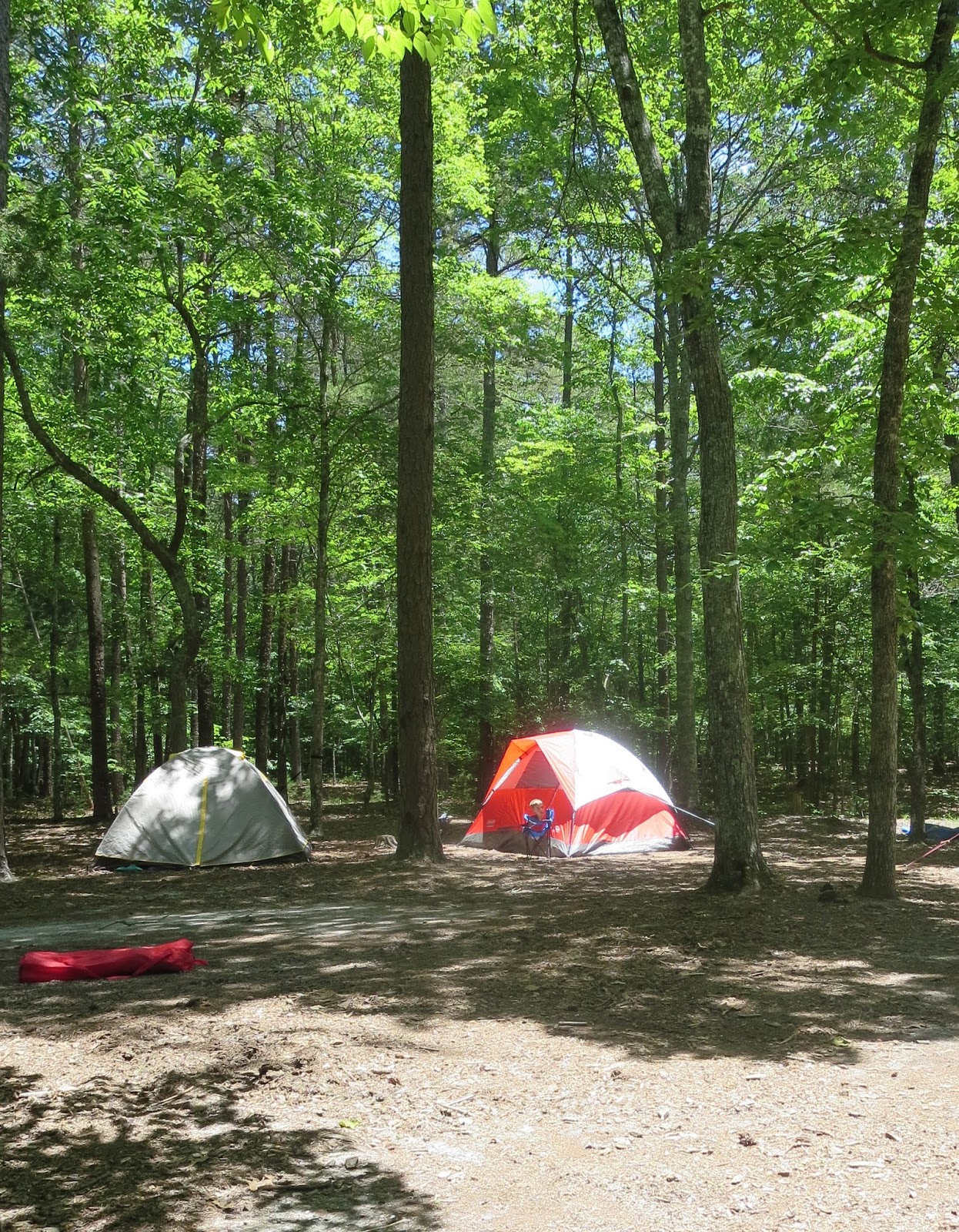 Sleepless in Babyland Camping at Kings Mountain State Park