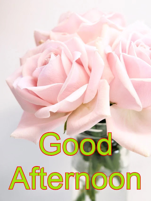 Good Afternoon HD Image Good Afternoon HD Image
