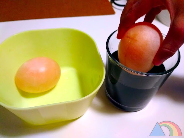 Poniendo un huevo sin cáscara en un vaso de agua coloreada