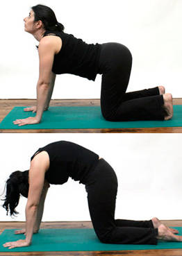 Fit Fancy And Free Give Your Lower Back Some TLC fit-fancy-and-free-give-your-lower-back-some-tlc