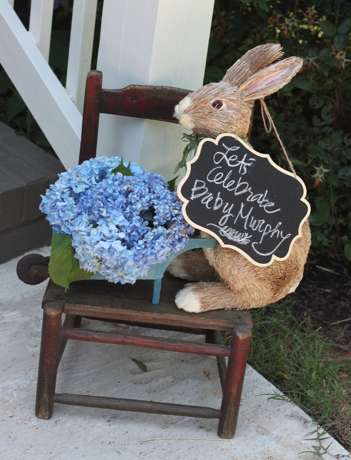 Tollywog's Blog Peter Rabbit Themed Baby Shower