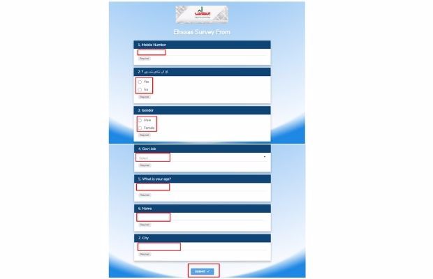 Ehsaas Program Survey Online Registration 2021
