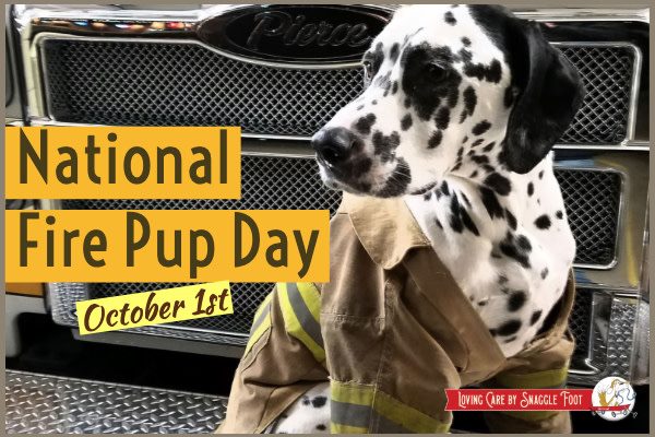 National Fire Pup Day Wishes Images