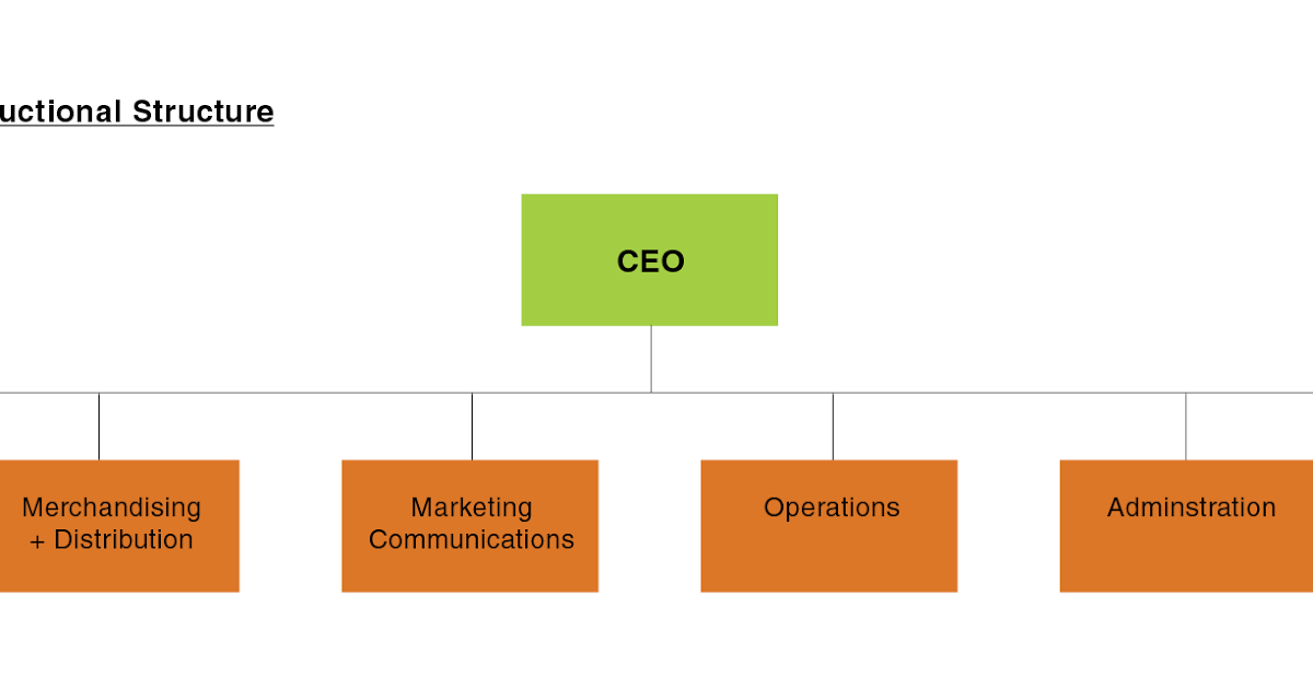 SHAMIKO blog 5 Types of Organizational Structures