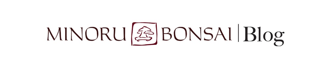 Minoru Bonsai Blog - The Art of Bonsai Life