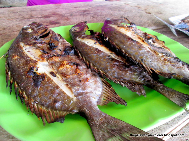 Vivian Beach, Coron Islands 2015 | The Palaweña Explorer