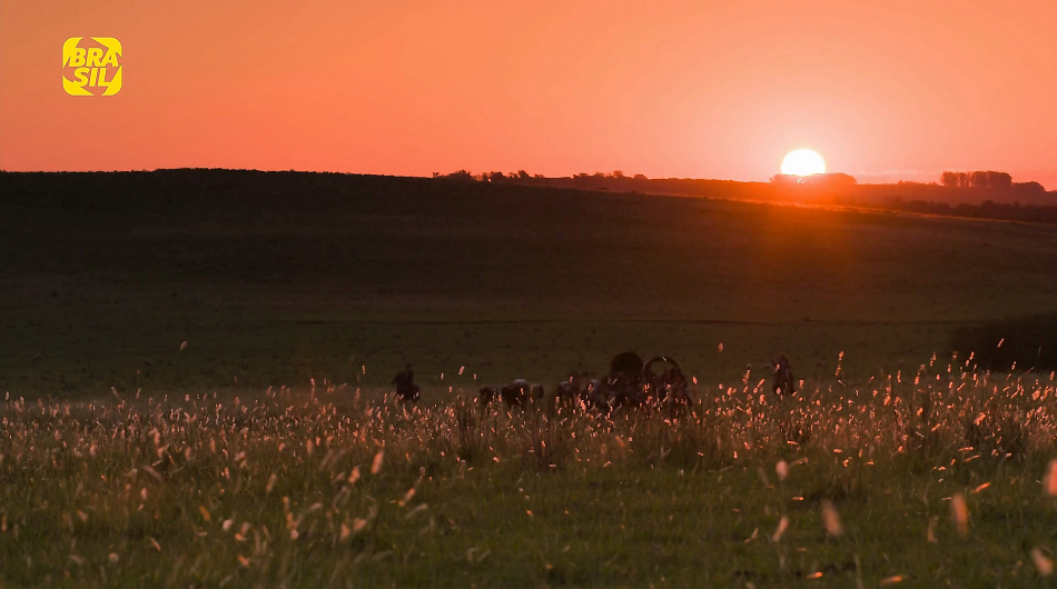 O TEMPO E O VENTO (HDTV/4K 1080P/NACIONAL) - 2013 Micro%2B17