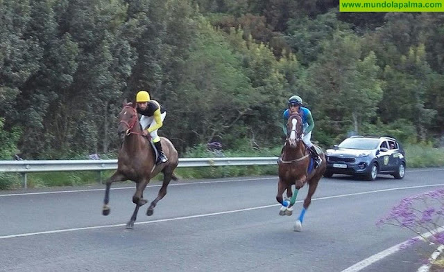 El Campeonato Insular de Carreras de Caballos arranca este sábado con nueve competiciones de velocidad en Puntagorda