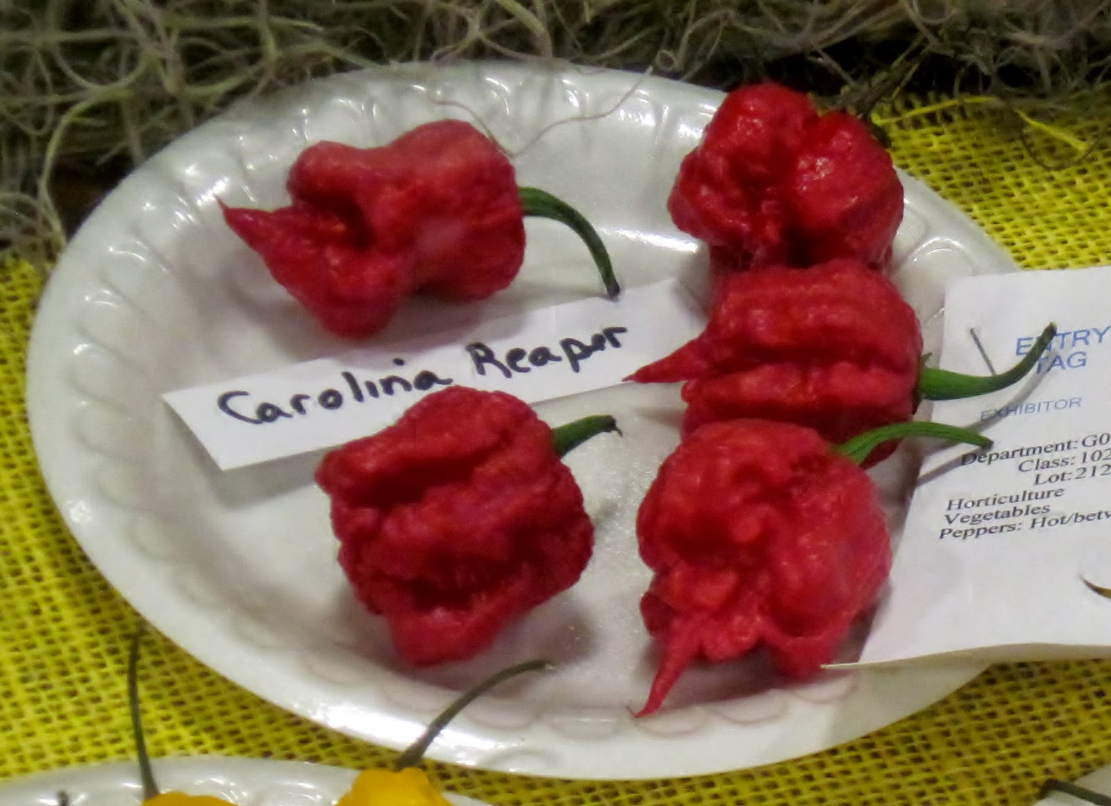 Carolina Sauce Company: Cajohn's Reaper Sling Blade Hot Sauce: Made