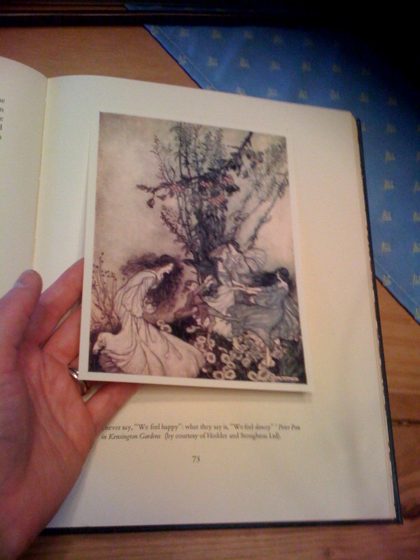 Les roses de décembre: Arthur Rackham: His Life and Work