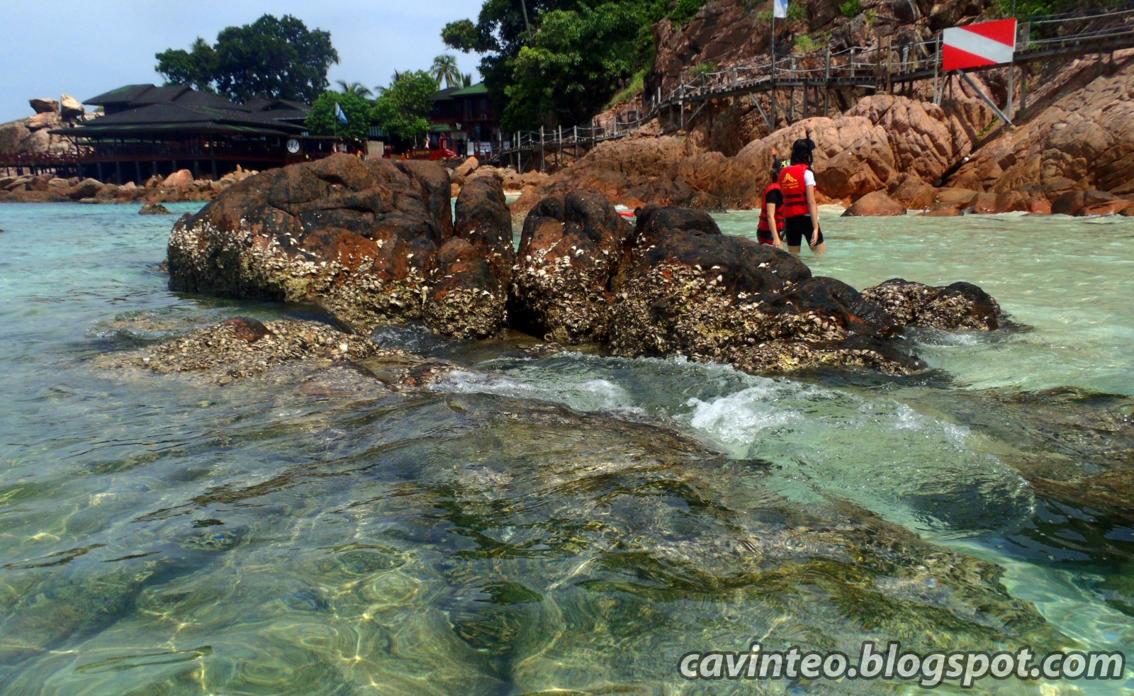 Entree Kibbles: Snorkeling Right Outside Laguna Redang Island Resort