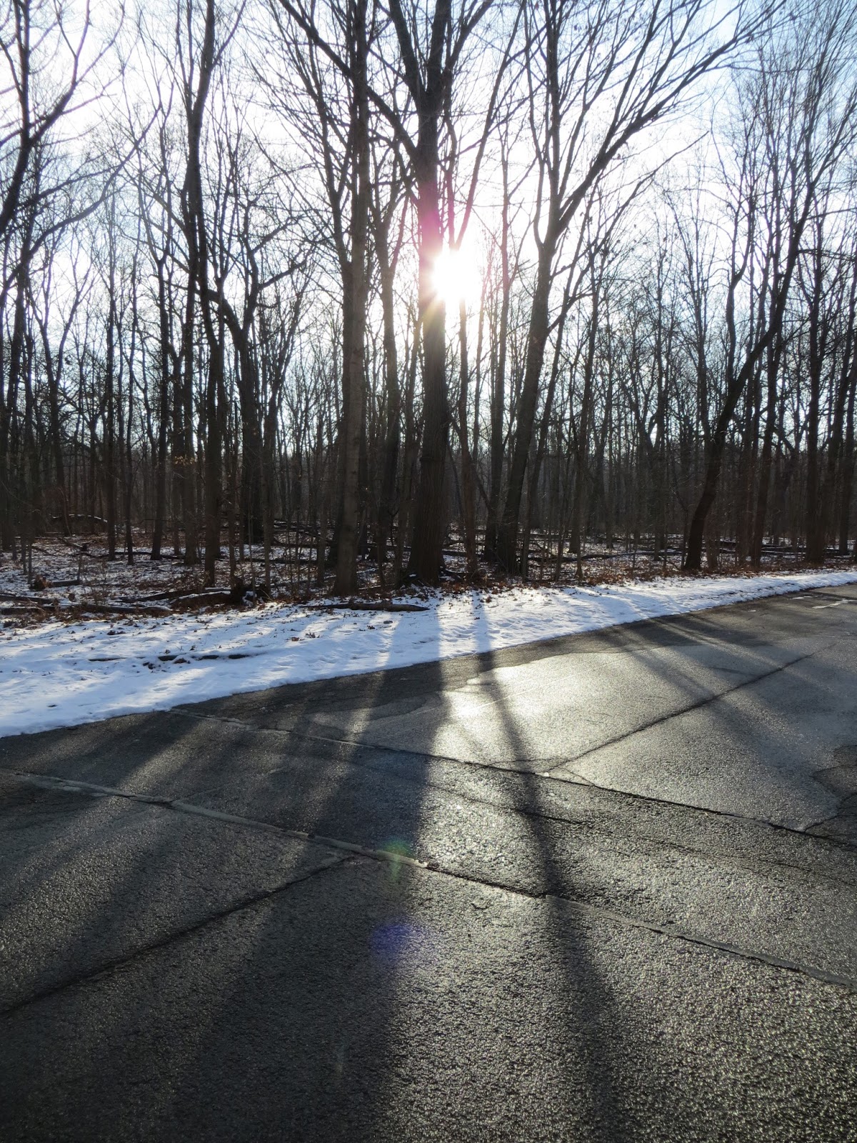 Justine S Halloween Happy New Year