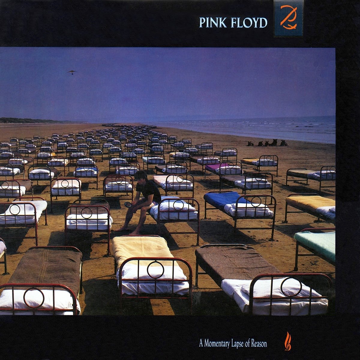 Pink Floyd A Momentary Lapse Of Reason Full Album Pink Floyd Ilustrado: A Momentary Lapse Of Reason - L.P U.S.A