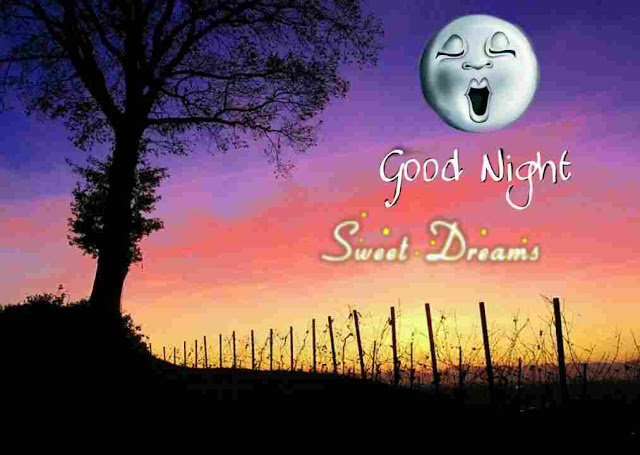 Good Night Images Sweet Dreams Photos and HD Pictures - GoodMorningImg