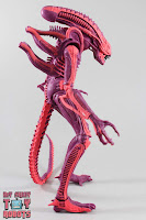 NECA Xenomorph Warrior Arcade Appearance 05
