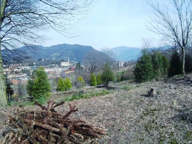 Merate Madonna Del Bosco Montevecchia