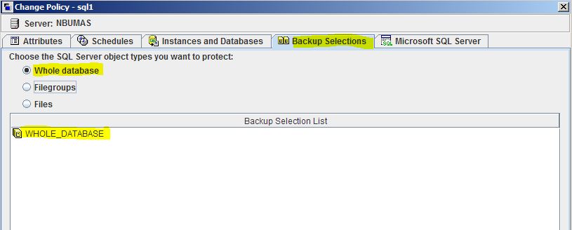Remote Infrastructure Management: MS SQL SERVER Backup and Recovery ...