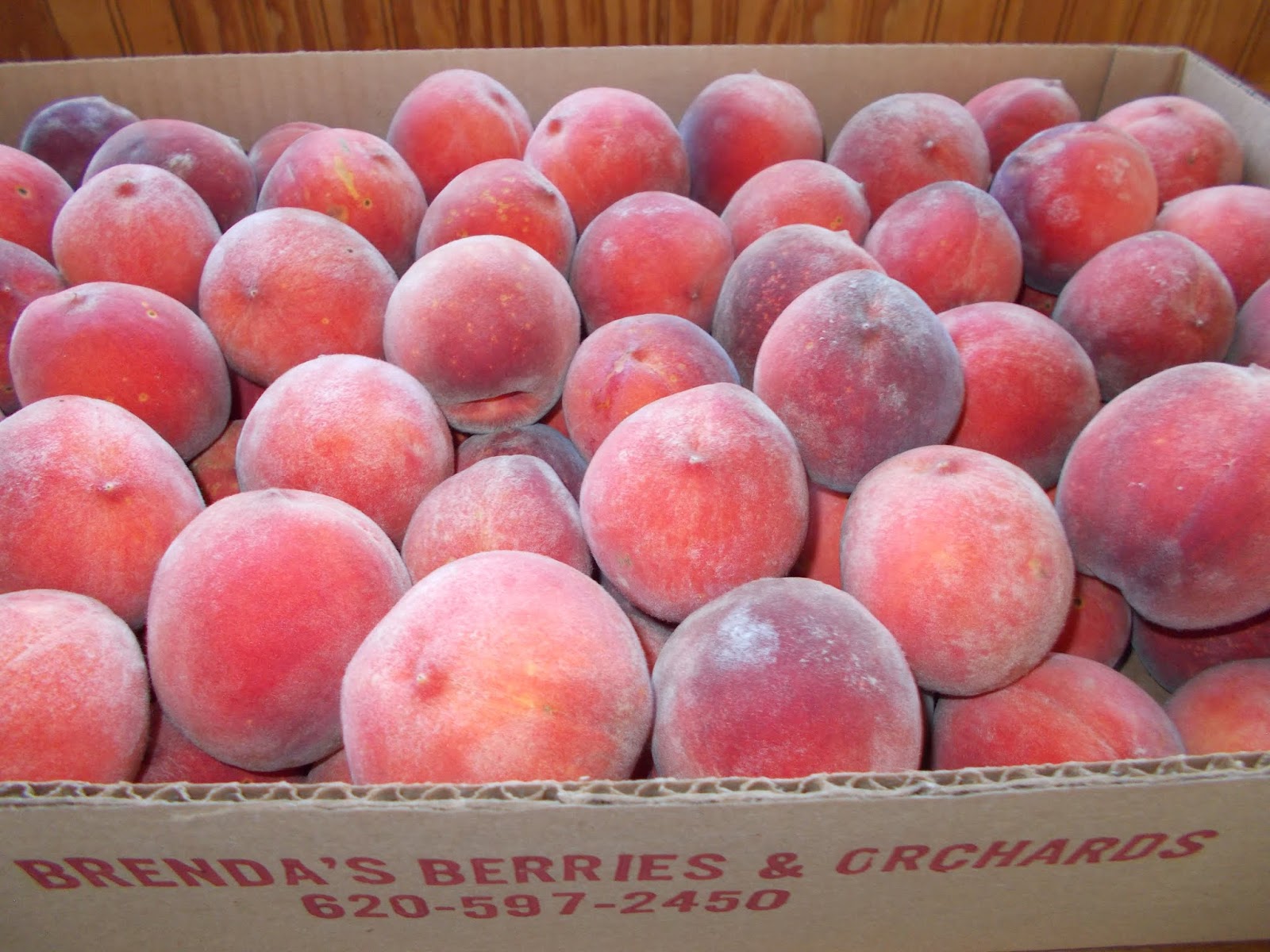 Brenda's Berries & Orchards Prime Peach Season is Now